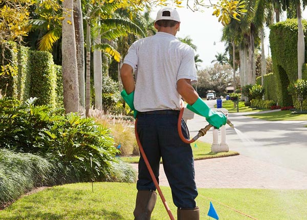 About Warrenton GA Pest Control Pros